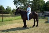 Picture 0031
