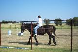 Picture 0033