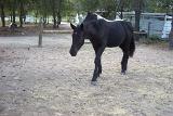 Picture 0038