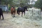 Picture 0039