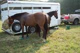 Picture 0039a