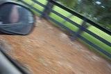 Picture 0040