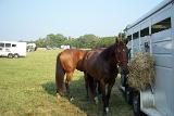 Picture 0041