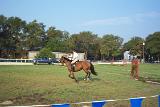 Picture 0042