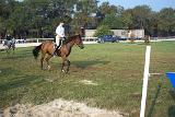 Picture 0043