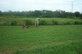 Picture 0097