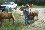 Picture 0108