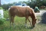 Picture 0109