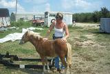Picture 0110