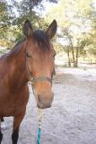 Picture 0119