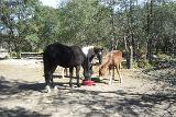 Picture 0136