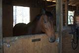 Picture 0153