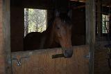 Picture 0154