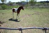 Picture 0175