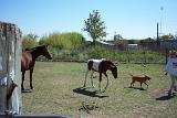 Picture 0176