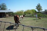 Picture 0177