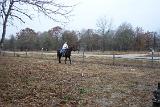 Picture 0217a