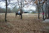 Picture 0219