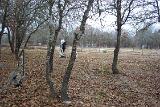 Picture 0220