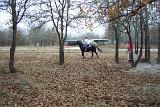 Picture 0221