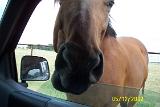 Picture 0287