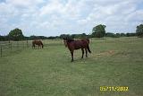 Picture 0300