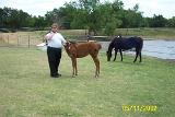 Picture 0301a