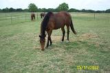 Picture 0302