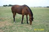 Picture 0303