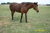 Picture 0304