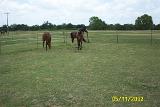 Picture 0305