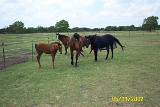 Picture 0306
