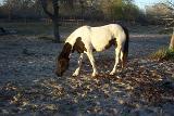 Picture 0355