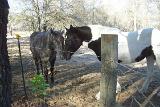 Picture 0363