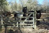 Picture 0364