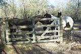 Picture 0365