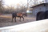 Picture 0370