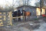 Picture 0372