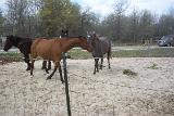 Picture 0418