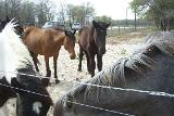 Picture 0427