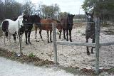 Picture 0429