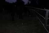 Picture 0431