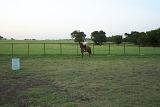 Picture 0433