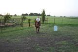 Picture 0434