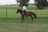 Picture 0435