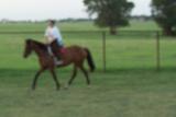 Picture 0436