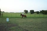Picture 0438