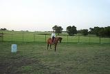 Picture 0440