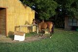 Picture 0443