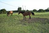 Picture 0446